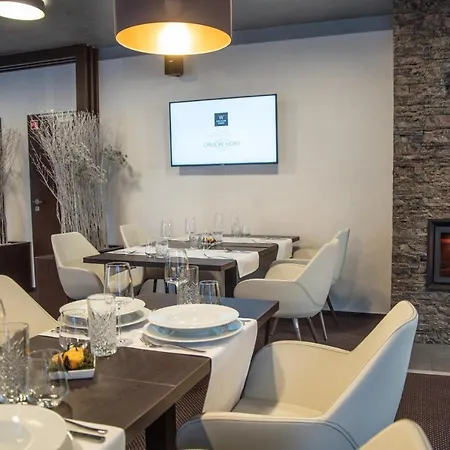 William Congress&wellness Mountain **** 4* Destne v Orlickych horach