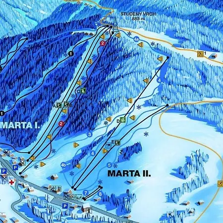 William Congress&wellness Mountain **** מלון דשטנב אורליצקיץ הוראך