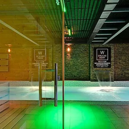 Szálloda William Congress&wellness Mountain **** 4*