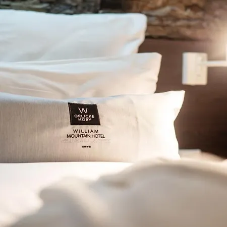 Hotel William Congress&wellness Mountain ****