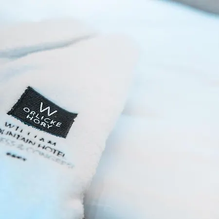 William Congress&wellness Mountain **** מלון