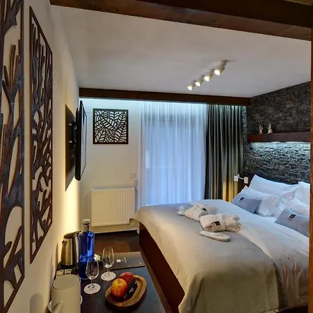 Hotel William Congress&wellness Mountain ****
