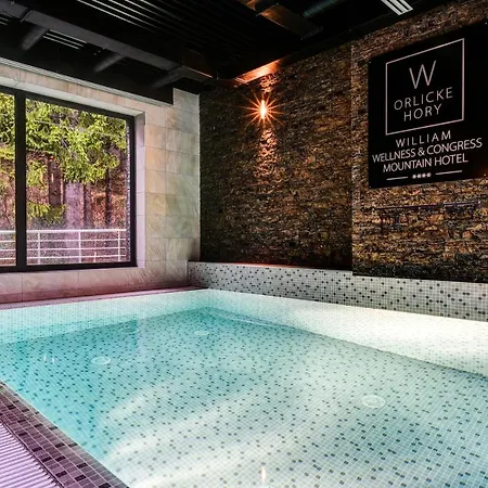 Hotel William Congress&wellness Mountain **** Destne v Orlickych horach