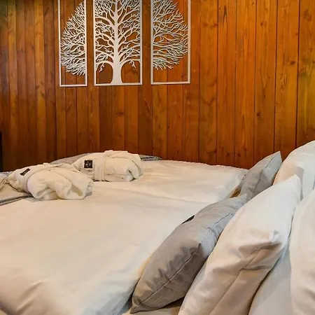 William Congress&wellness Mountain **** Hotel
