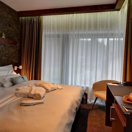 William Congress&wellness Mountain **** Hotel Destne v Orlickych horach