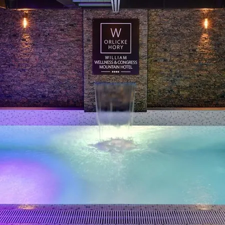 William Congress&wellness Mountain **** 4* Destne v Orlickych horach