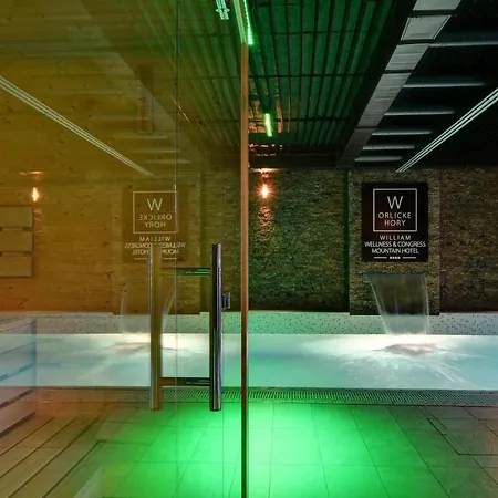William Congress&wellness Mountain **** 4* Destne v Orlickych horach