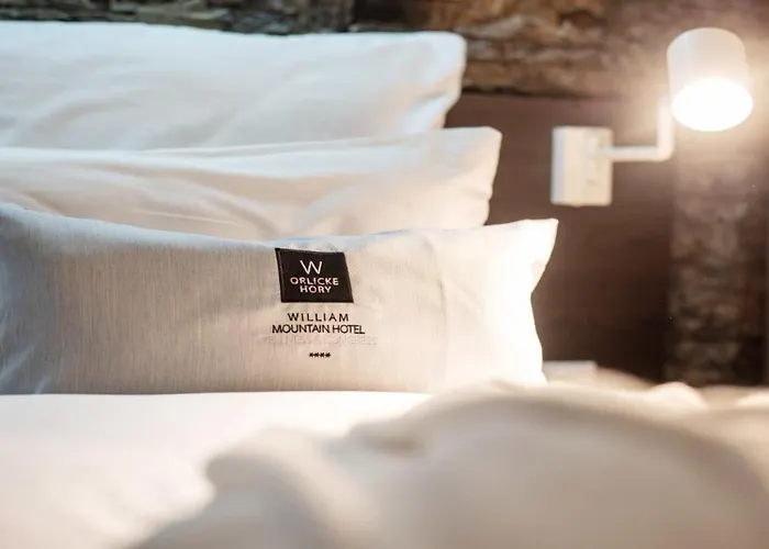 Hotell William Congress&wellness Mountain ****