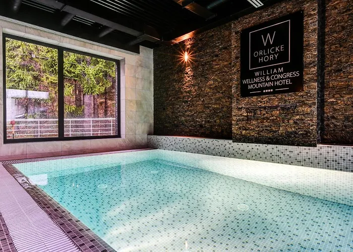 Hotell William Congress&wellness Mountain **** Destne v Orlickych horach