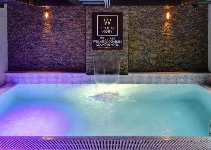 William Congress&wellness Mountain **** 4* Destne v Orlickych horach