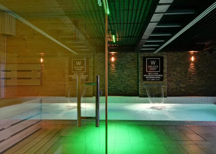 William Congress&wellness Mountain **** 4* Destne v Orlickych horach